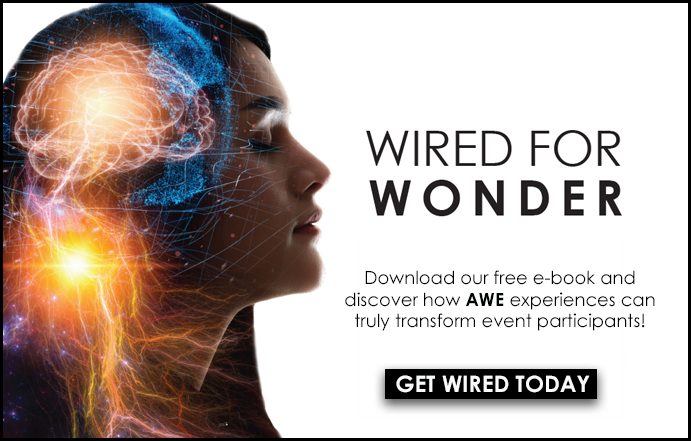 Wired For Wonder