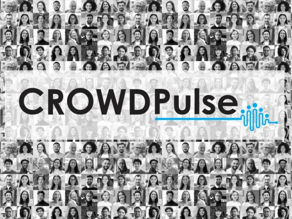 crowdpulse logo wordmark